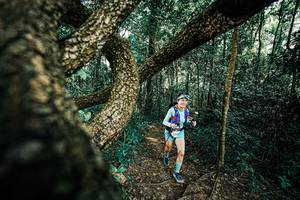 BIB: 
                            <button type="button" onclick="openModal(25394353)" class="btn btn-primary btn-sm float-right btn-popup" data-toggle="modal" data-target=".modal-high-quality">
                        <i class="fas fa-shopping-cart"></i> Add to Cart
                    </button>
                                            <button type="button" onclick="isThisMe(25394353, true)" class="btn btn-success btn-sm float-right btn-popup btn-isme hidden" data-toggle="tooltip" data-placement="bottom" title="นี่คือรูปของคุณใช่ไหม คลิกที่นี่เพื่อเอาเข้าอัลบั้ม">
                        <i class="fas fa-plus"></i> Add to album
                    </button>
                    <button type="button" onclick="isThisMe(25394353, false)" class="btn btn-warning btn-sm float-right btn-popup btn-isnotme hidden">
                        <i class="fas fa-ban"></i> Remove from album
                    </button>